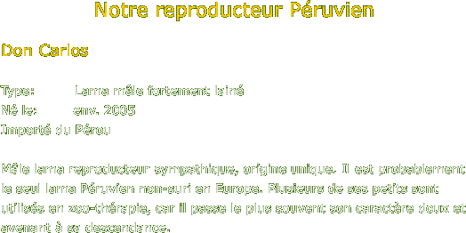 Notre reproducteur P�ruvien