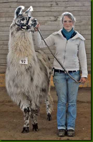 LamahengsteYarango06