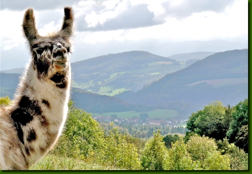 LamahengsteYarangoKiffis