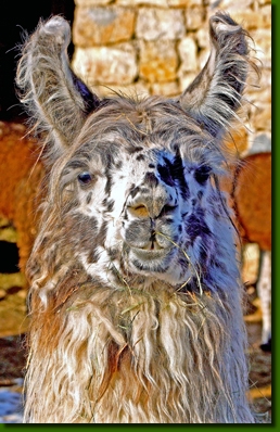 LamahengsteYarangoP3