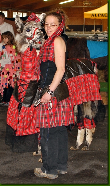 LamahengsteYarangoPunk